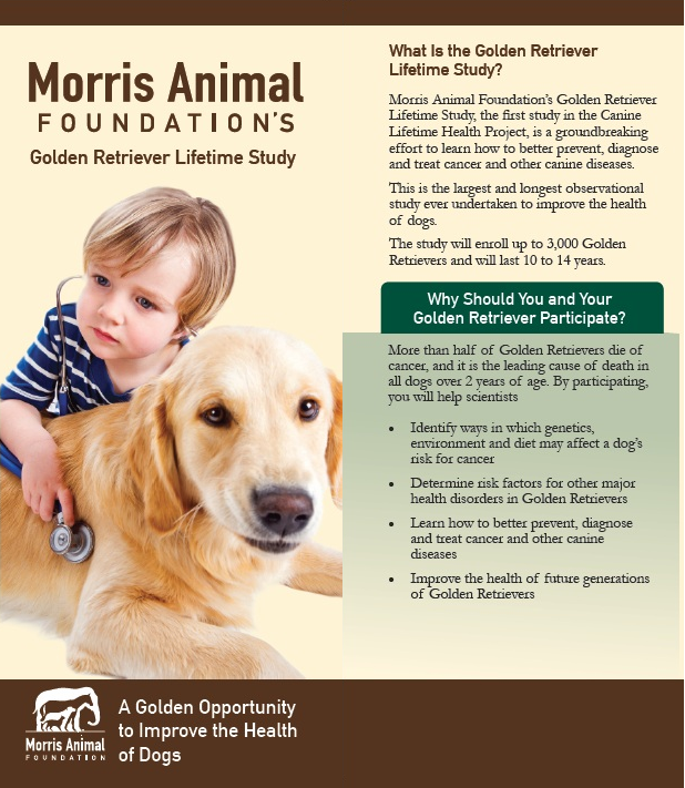 Morris Animal Foundation Brochure