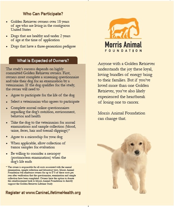 Morris Animal Foundation Brochure page 3
