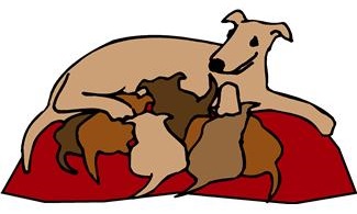 litter of puppies clip art